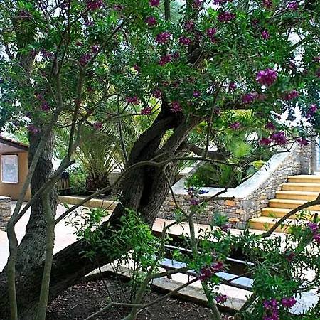 Village La Vallicella Moriani Plage